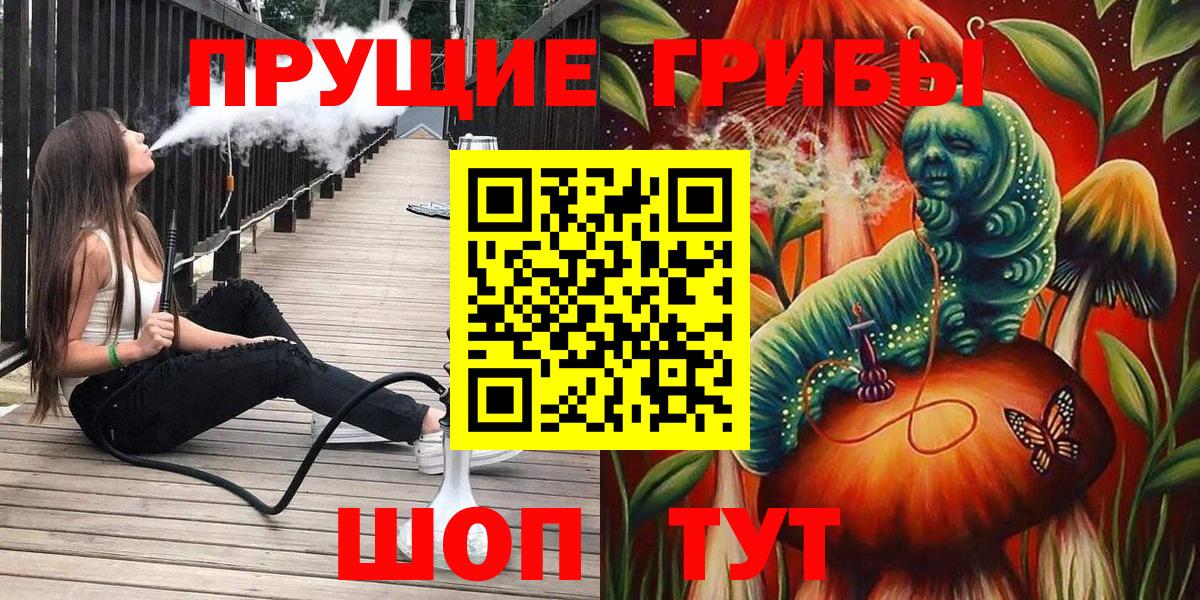 Комсомольск-на-Амуре  Псилоцибиновые грибы Psilocybine cubensis  Вход с VPN 