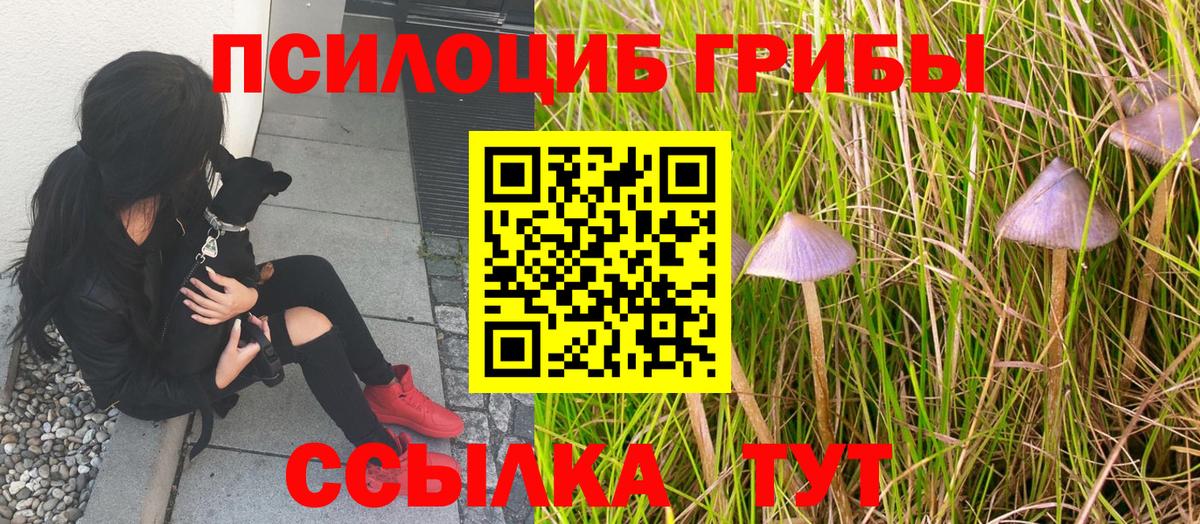 Галлюциногенные грибы Magic Shrooms Комсомольск-на-Амуре
